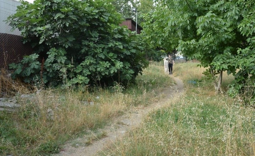 Ataşehir ve Bursa'da köpek vahşeti! - Resim: 5