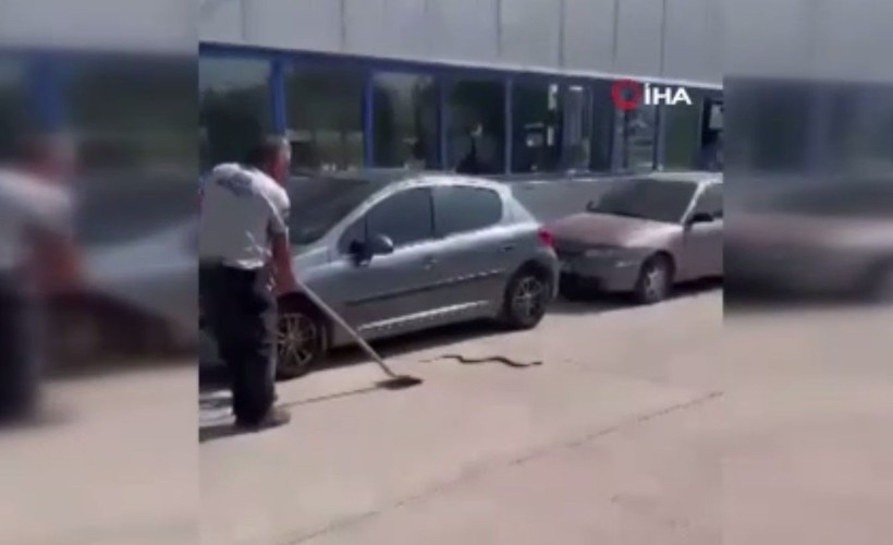 Araç muayenesinde yılan paniği! Eliyle tutup... - Resim: 1