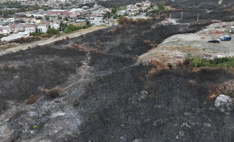 İzmir'deki orman yangınında yanan alanlar havadan görüntülendi - Resim : 1