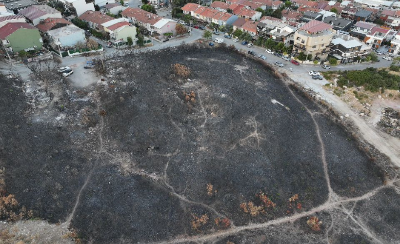 İzmir'deki orman yangınında yanan alanlar havadan görüntülendi - Resim : 2