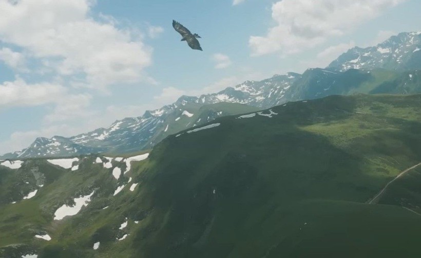 Doğan kuşunun drone avı! Daha önce böylesi görülmedi - Resim: 9