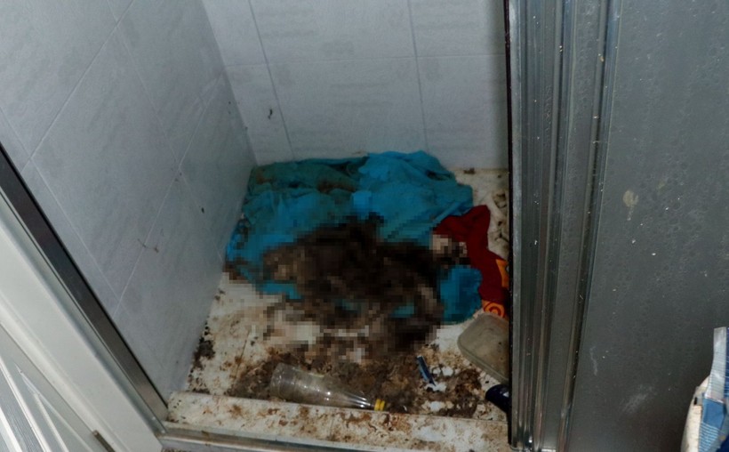 Kiracının çıktığı evden çıkanlar mide bulandırdı! Virane evden onlarca kedi ölüsü çıktı - Resim: 11