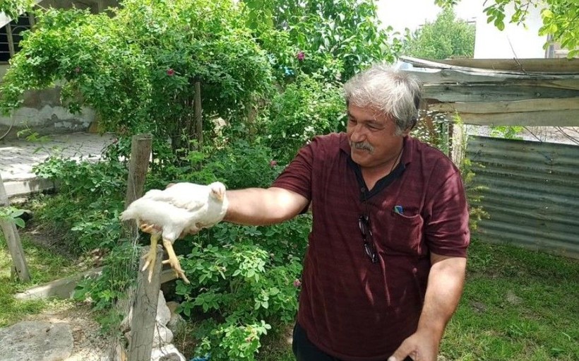 Bildiğiniz tüm civcivleri unutun! Kümesinden mucize civciv çıktı! Bu özelliğiyle kesilmekten kurtuldu - Resim: 5