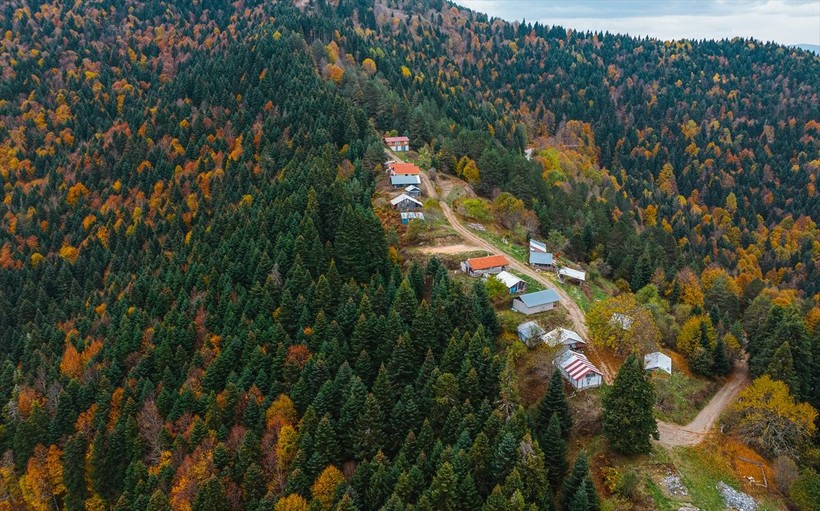 Bolu Yedigöller sonbahar renklerine büründü! Ortaya çıkan kareler adeta büyüledi - Resim: 24