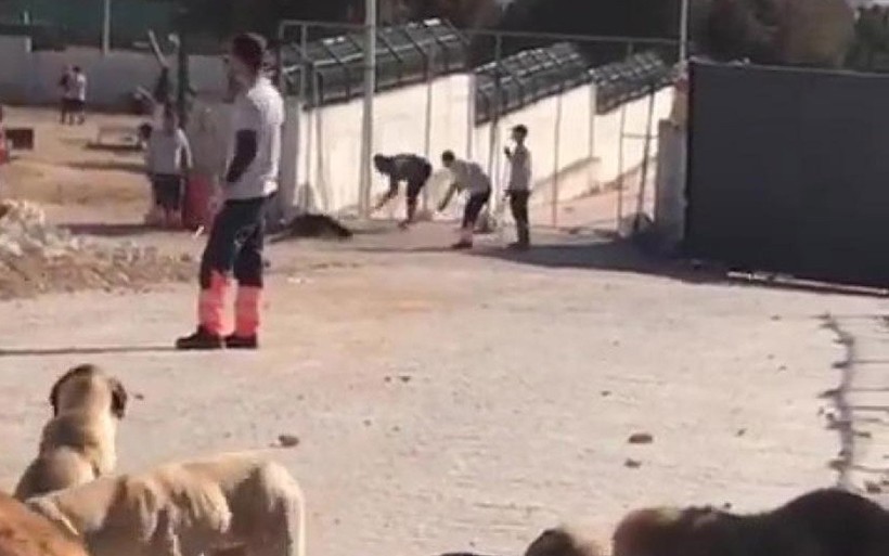 Konya'daki vahşet herkesi ayağa kaldırmıştı! Köpeklere kürekle vuran Murat Bacak ve Sefa Çakmak'ın cezaları belli oldu - Resim: 3