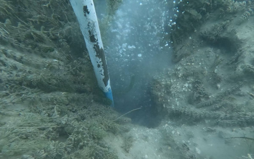 Sapanca Gölü neden kaynıyor? Uzmanlar bölgeye akın etti - Resim: 2