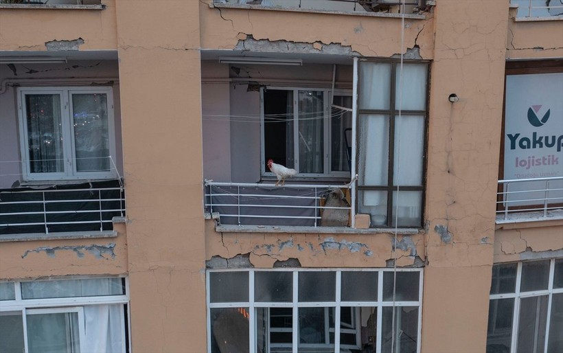 SON DAKİKA DEPREM: Kahramanmaraş merkezli depremde 3. güne girildi: Bölgeden yürek burkan fotoğraflar - Resim: 30