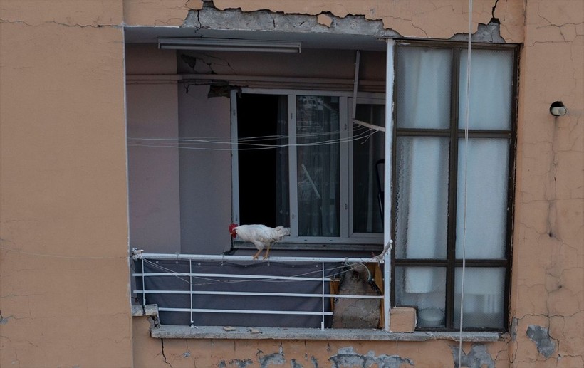 SON DAKİKA DEPREM: Kahramanmaraş merkezli depremde 3. güne girildi: Bölgeden yürek burkan fotoğraflar - Resim: 31