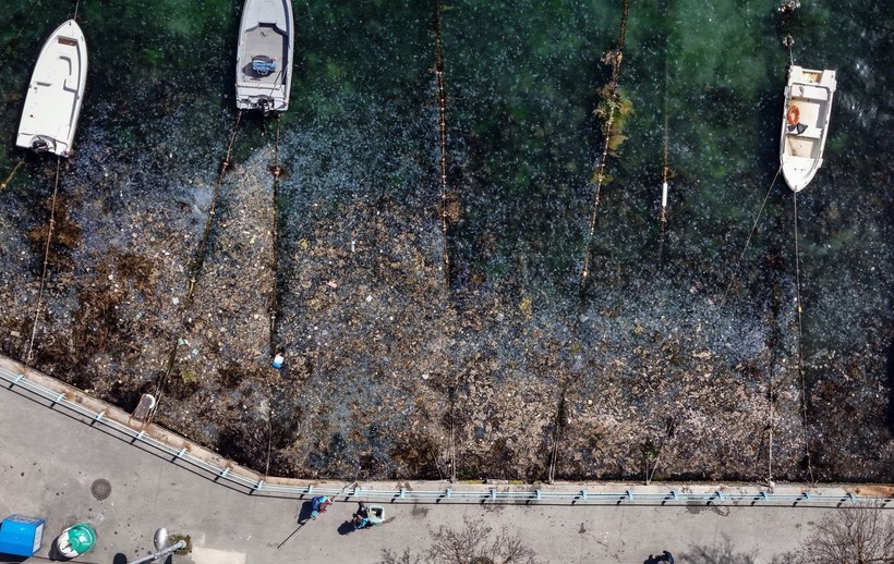 İstanbul'da müsilaj alarmı! Kınalıada açıkları beyaza büründü - Resim: 8
