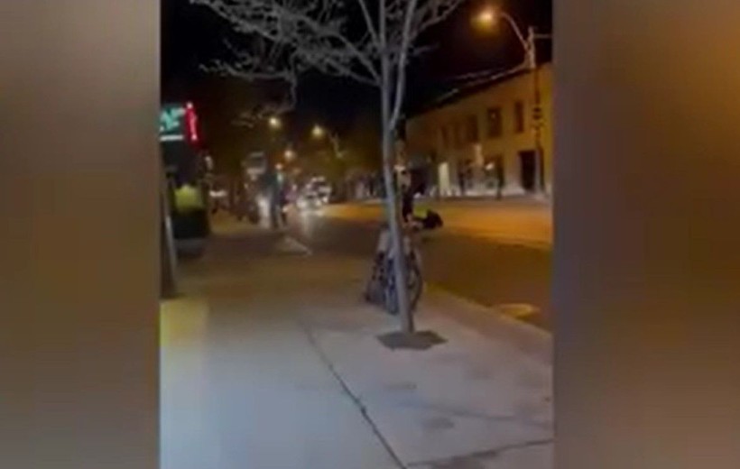 Böylesi görülmedi! Boynunda pitonla dolaşan adam kabus oldu! Sokak ortasında pitonu kırbaç gibi kullanarak dövdü! - Resim: 5