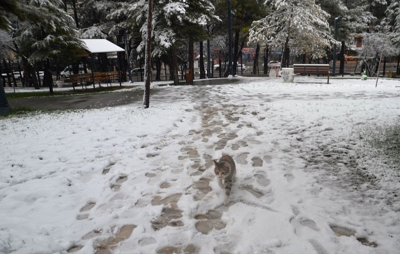Soğuk havalar yerini kara bıraktı! Ekipler yolların kapanmaması için canla başla çalışıyor - Resim: 4