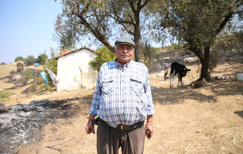70 yaşındaki kadın kuru otları temizleyerek evini orman yangınından kurtardı - Resim: 5