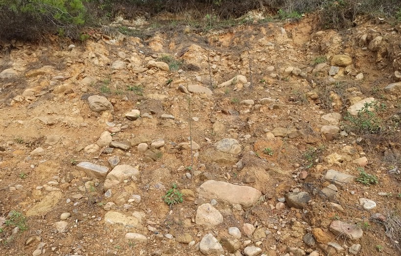 Kahramanmaraş merkezli depremlerin ardından gözlerin çevrildiği İstanbul'dan korkutan haber: Biz fayları koymaya kalksak İstanbul'da haritada yer bulamayız - Resim : 1