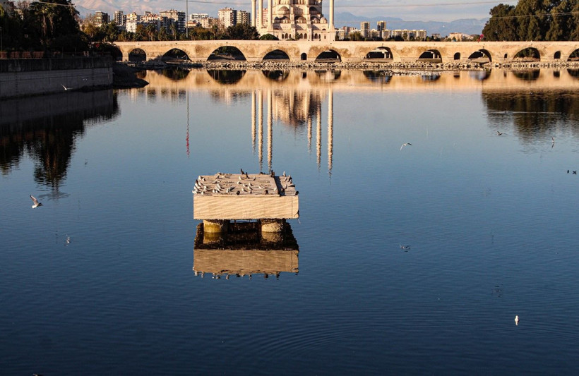 Seyhan Nehri'nde balık ölümleri - Resim: 6