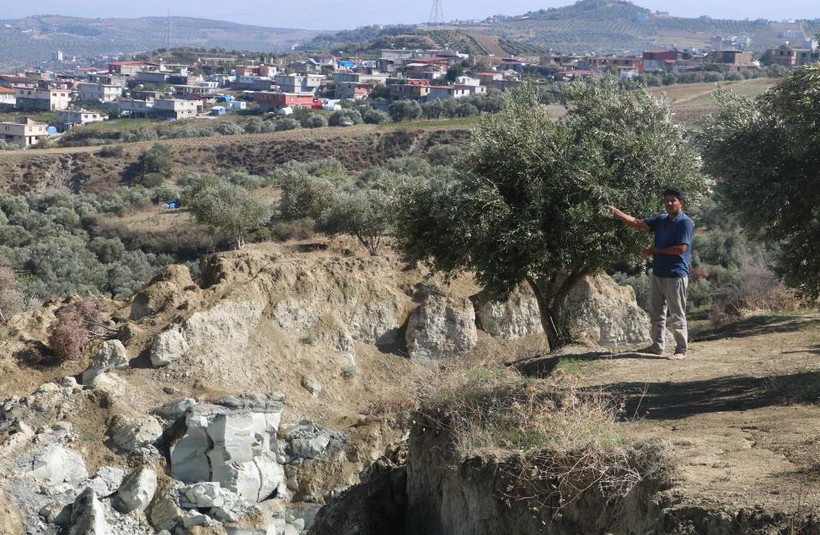 Hatay'da meydana gelen depremlerin ortadan ikiye ayırdığı zeytin bahçesinde 'tedirgin' hasat başladı - Resim : 8