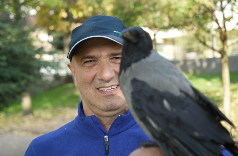 Bu karga çay içip Rize helvası yiyor: Organik gıdaları seviyor - Resim: 2