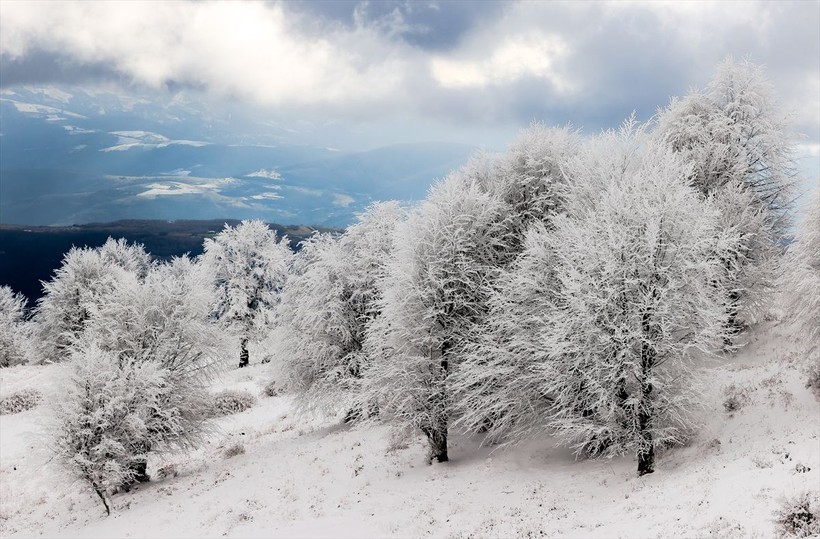 Sporseverlerin uğrak yeri! Kocadağ yaylası beyaza büründü ❄️🌨️☃️ Ortaya kartpostallık görüntüler çıktı - Resim: 17