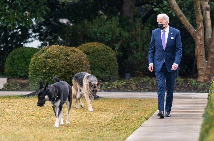 Beyaz Saray'da Biden'ın köpekleri krizi! - Resim: 2