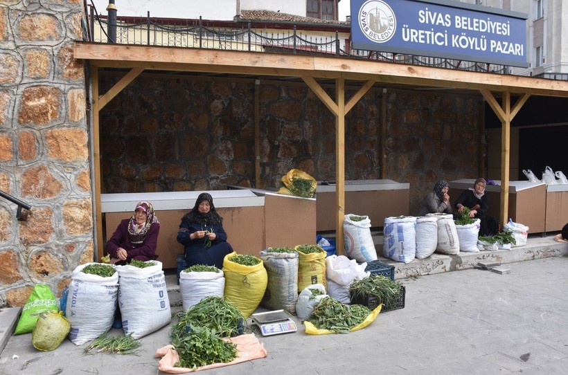 Madımak tezgahlardaki yerini aldı! Fiyatı dudak uçuklattı - Resim: 10