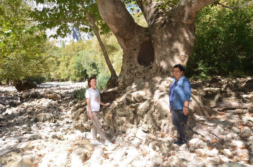 Antalya'da Üzümdere ırmağı kurudu! Susuz kalan yengeçler öldü - Resim: 3