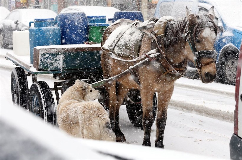 Başkent Ankara beyaz masalı yaşıyor! Yurt genelinden kar manzaraları ❄️☃️🧤 - Resim: 15