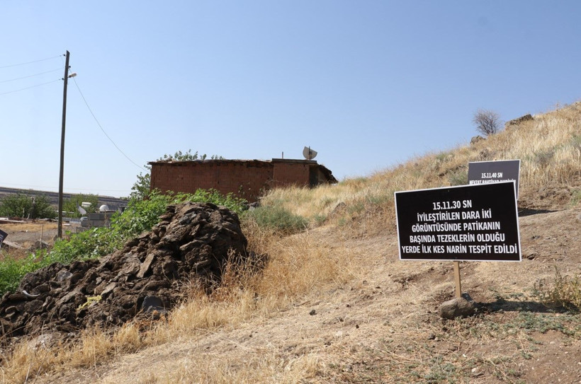 Narin Güran, ölümünün yıl dönümünde mezarı başında anıldı - Resim: 9