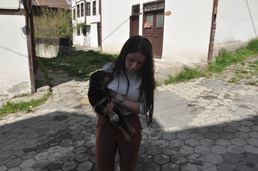 Boğulmak üzere olan yavru köpeği vatandaşlar kurtardı - Resim: 4