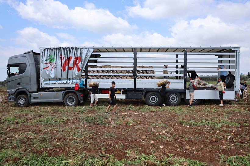 Adana'da günlük 250-300 ton patates yükleyen işçiler 2 bin 500 kazanıyorlara - Resim: 7