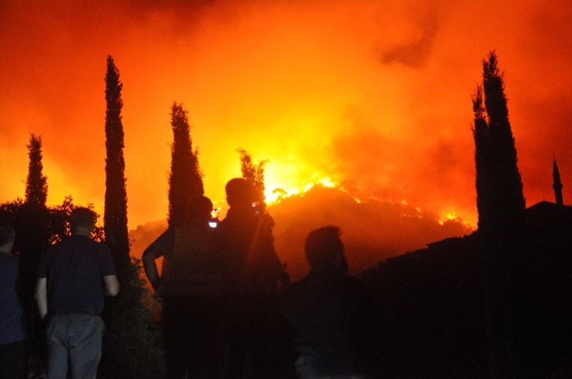 İzmir Ödemiş'te orman yangını çıktı - Resim: 7