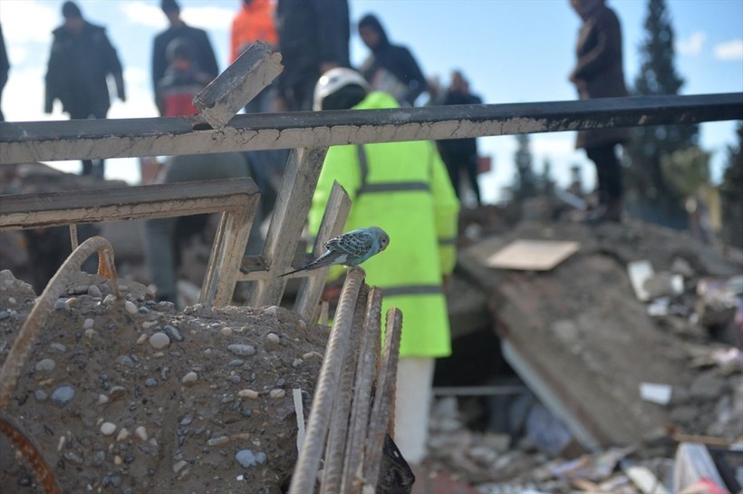 Son dakika deprem haberleri... Kahramanmaraş'ta depremden 31 saat sonra 15 aylık Meryem bebek enkazdan çıkarıldı - Resim: 6