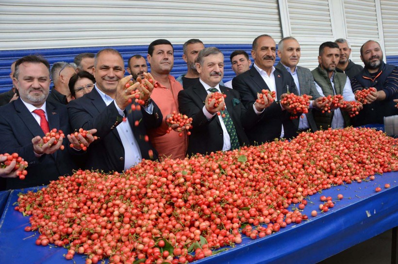Manisa'da sezonun ilk kirazı çıktı! Erkenci kiraz açık artırmayla satıldı - Resim: 3