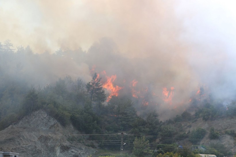 Son Dakika: Hatay'da ve İzmir'de orman yangını! - Resim: 7