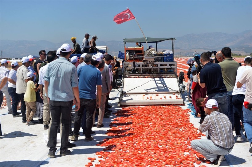 Kahramanmaraş'tan dünya ülkelerine kurutulmuş domates ihracatı - Resim: 7