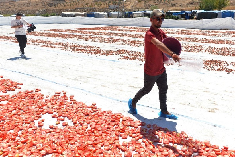 Kahramanmaraş'tan dünya ülkelerine kurutulmuş domates ihracatı - Resim: 9
