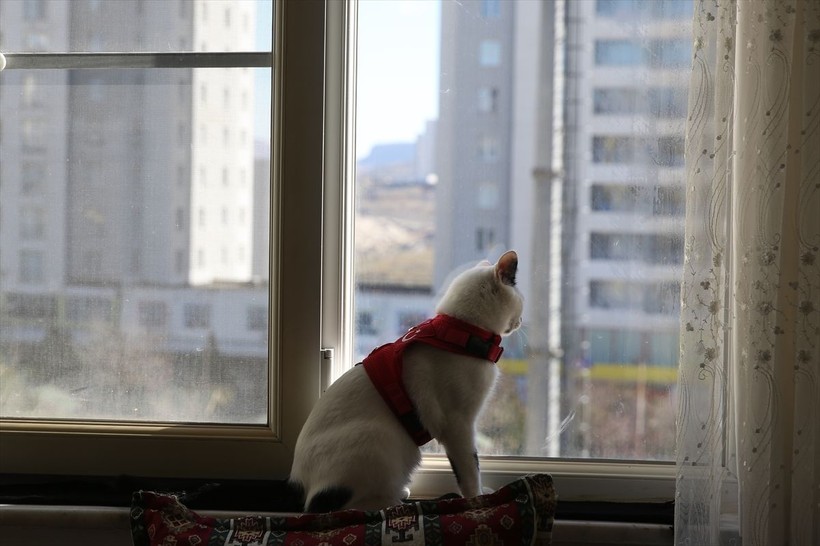 Depremde itfaiye eriyle çıkan fotoğrafı sembolleşmişti... Enkaz şimdi mutlu - Resim: 7
