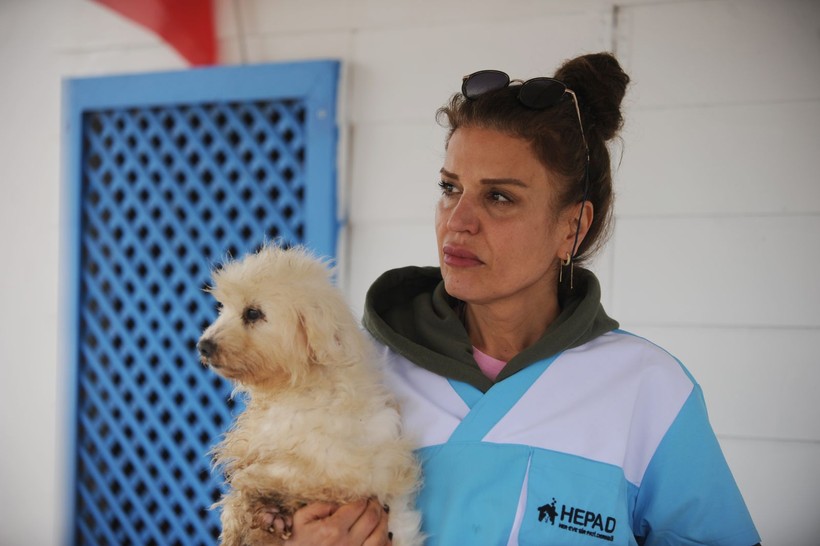 Kör ettiler, dişlerini söktüler! Merdiven altı köpek üretimine baskın - Resim: 10