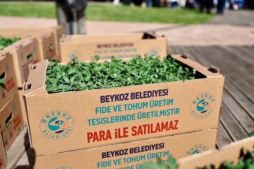 Beykoz Belediyesi’nden çiftçilere 1 milyon 50 bin yazlık fide desteği - Resim : 1