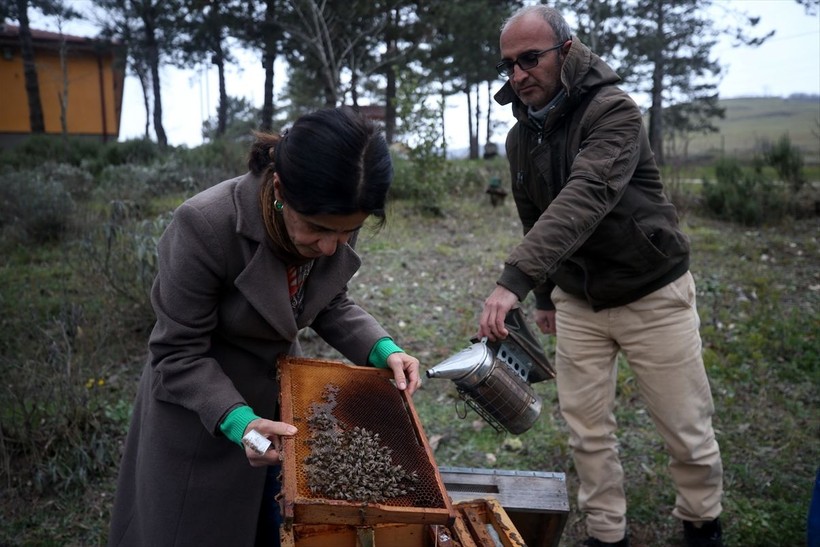 Arılar 'bahar geldi' dürtüsüyle kovanlarından ayrılıyor! Uzmanlar arı popülasyonunda yaşanacak büyük kayıplar hakkında konuştu - Resim: 4