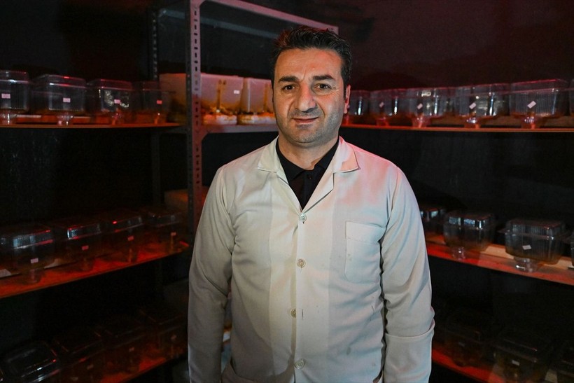 Örtü altı tarımın vazgeçilmezi olan bombus arısı üretimine Van'da da başlandı! Arıların Türkiye'deki sayısı 400 bine ulaştı - Resim: 26