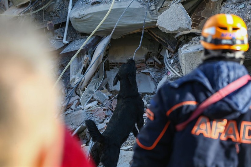 Depremin vurduğu illerdeki enkazlarda arama kurtarma köpekleri birçok kişinin hayatını kurtardı - Resim: 12