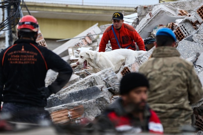 Depremin vurduğu illerdeki enkazlarda arama kurtarma köpekleri birçok kişinin hayatını kurtardı - Resim: 19