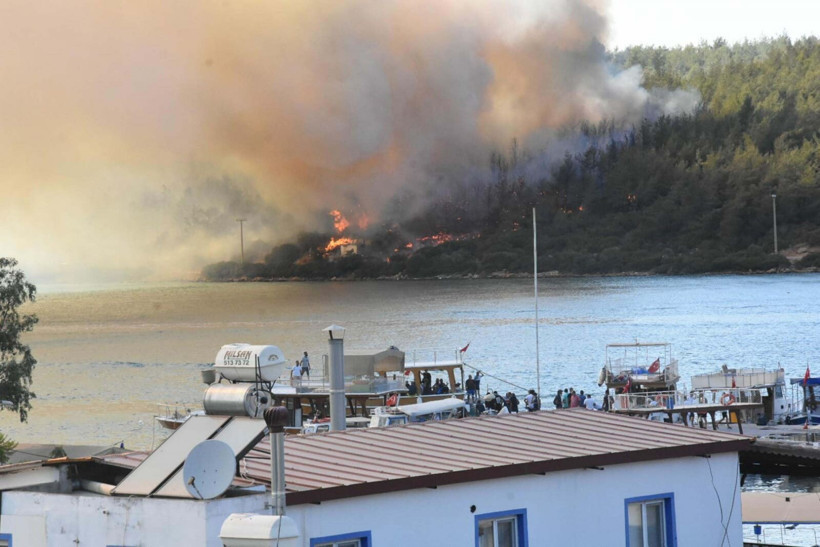 Bodrum'da 2 yıl önce ormanı yakan şüpheliyi, telefon mesajı yakalattı: 100 bin lira almış - Resim: 6