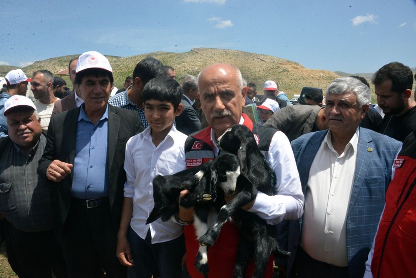 Depremde ölen 43 bin 618 küçükbaş hayvanın dağıtımı Kahramanmaraş'ta başladı - Resim: 2