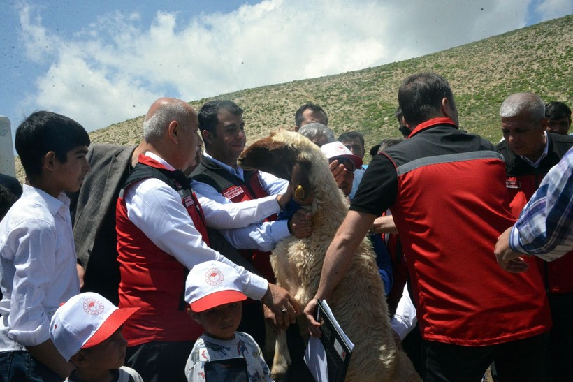 Depremde ölen 43 bin 618 küçükbaş hayvanın dağıtımı Kahramanmaraş'ta başladı - Resim: 6