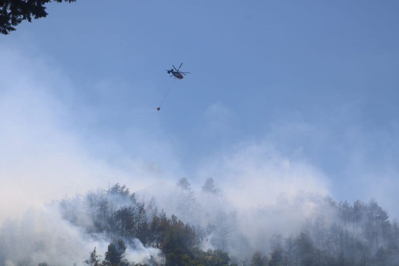 Son Dakika: Hatay'da ve İzmir'de orman yangını! - Resim: 3