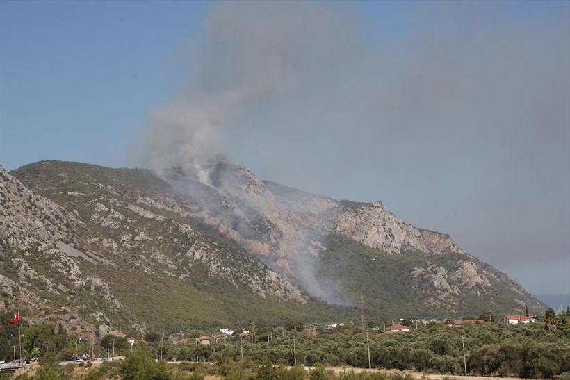 Milas’ta yerleşim yerlerine yakın alanda orman yangını - Resim : 4