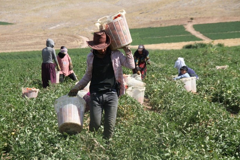 Tarımda yeni dönem başlıyor! En son 2001 yılında yapılmıştı yeniden yapılacak - Resim: 10