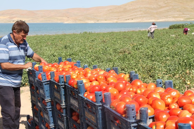 Tarımda yeni dönem başlıyor! En son 2001 yılında yapılmıştı yeniden yapılacak - Resim: 6