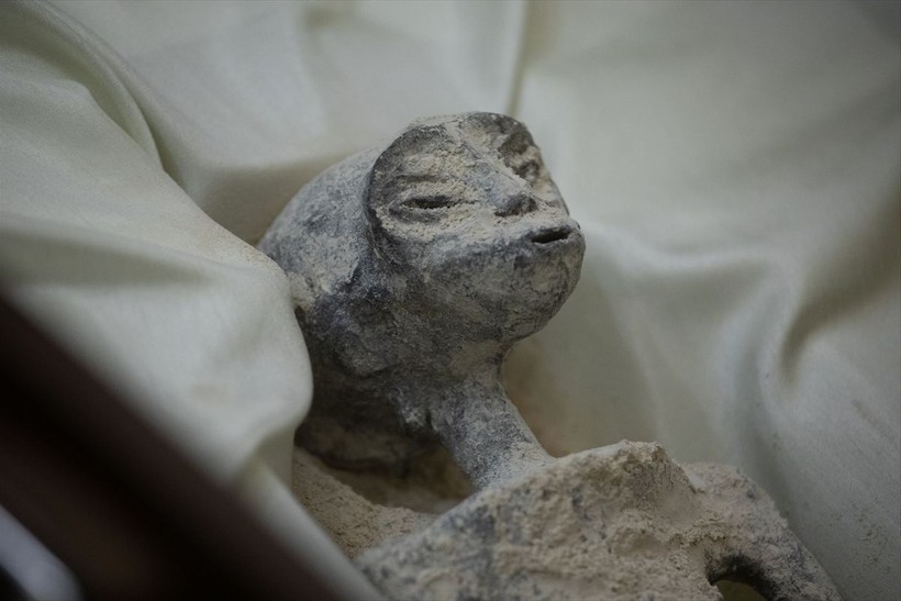 Meksika meclisinde sergilenen uzaylı fosillerine yalanlama geldi: DNA testi yapılmadı - Resim: 5