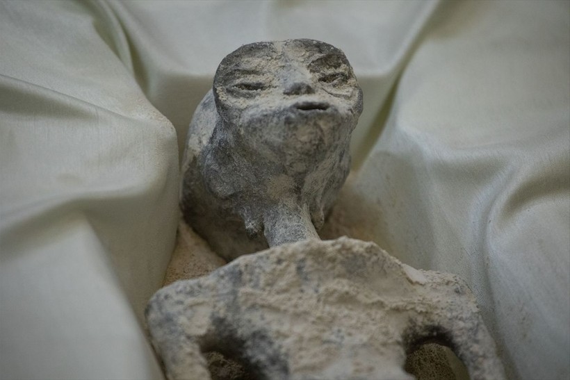 Meksika meclisinde sergilenen uzaylı fosillerine yalanlama geldi: DNA testi yapılmadı - Resim: 7